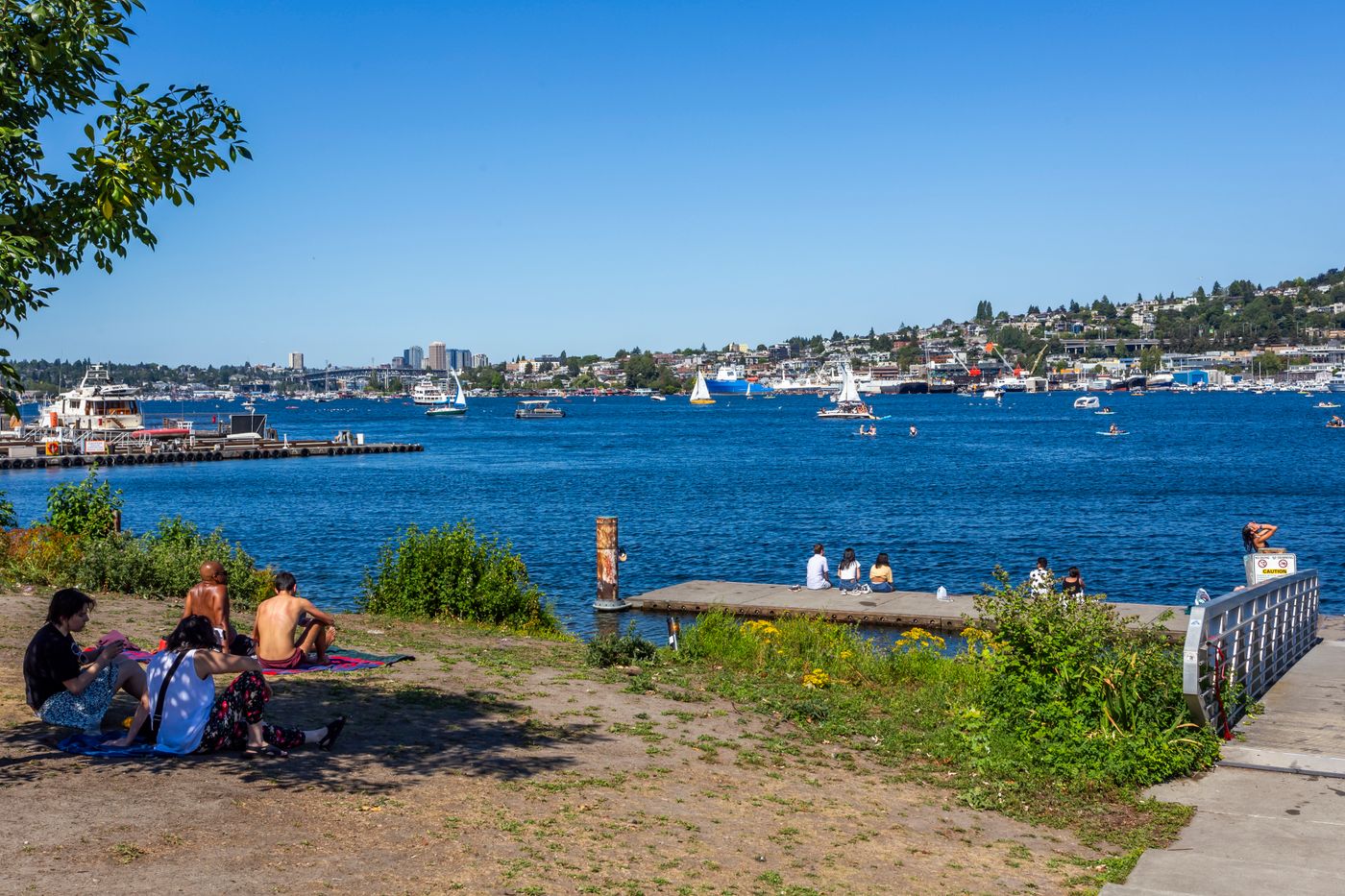 Lake Union summer activities Seattle