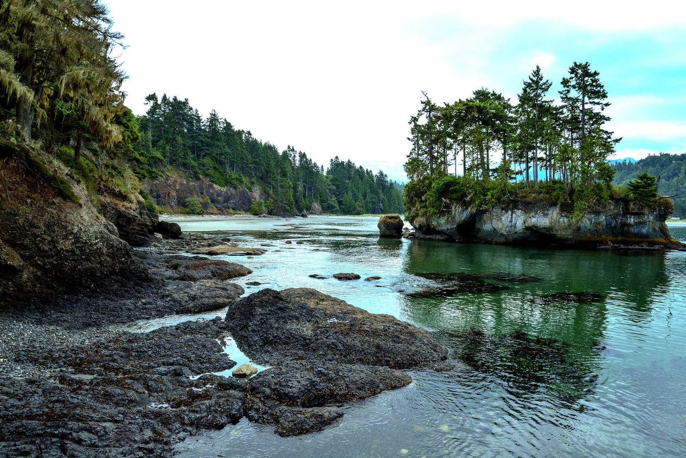 Pacific Northwest coastal scenery