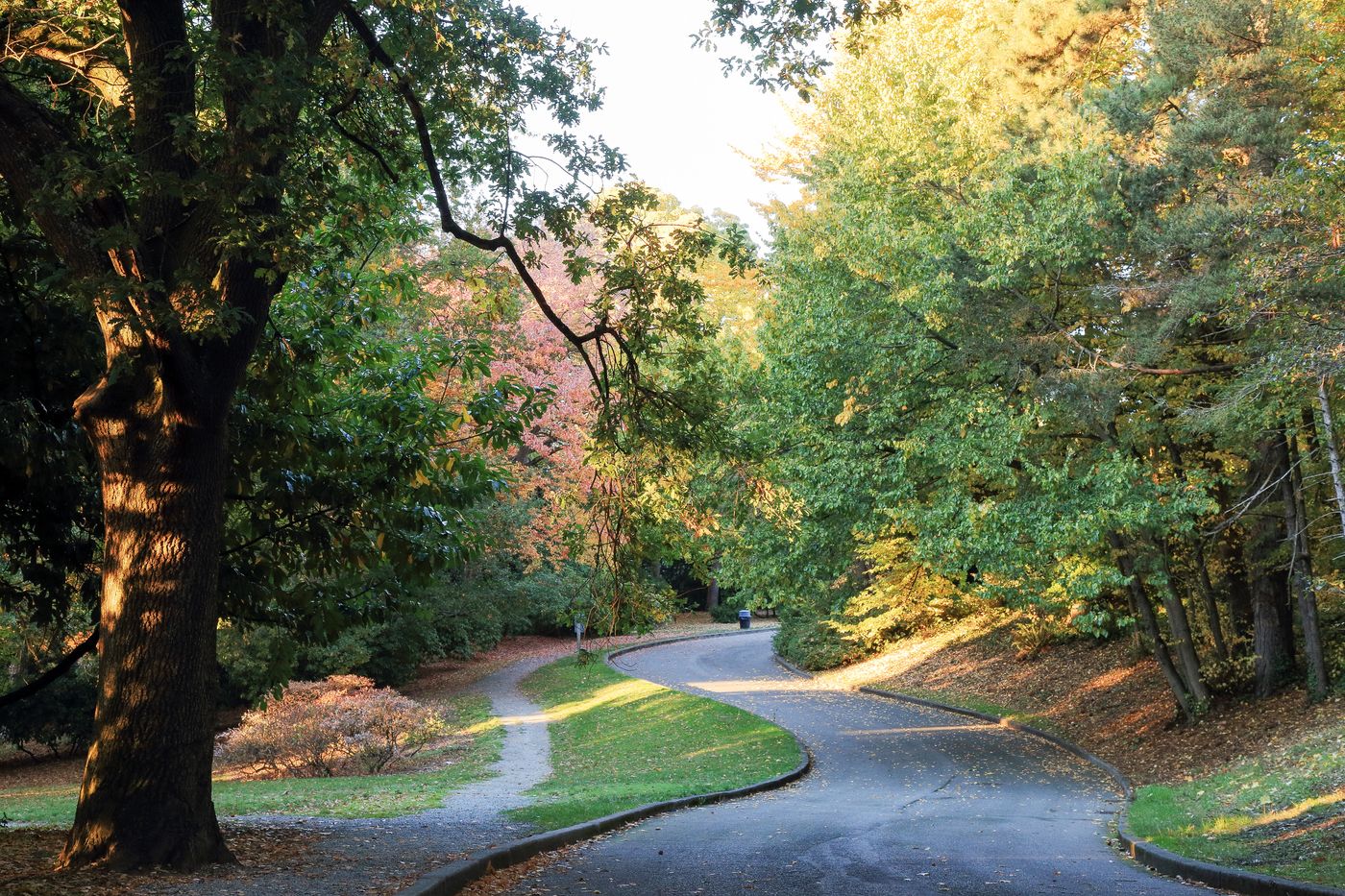 Capitol Hill: The Bohemian Hub of Seattle Living
