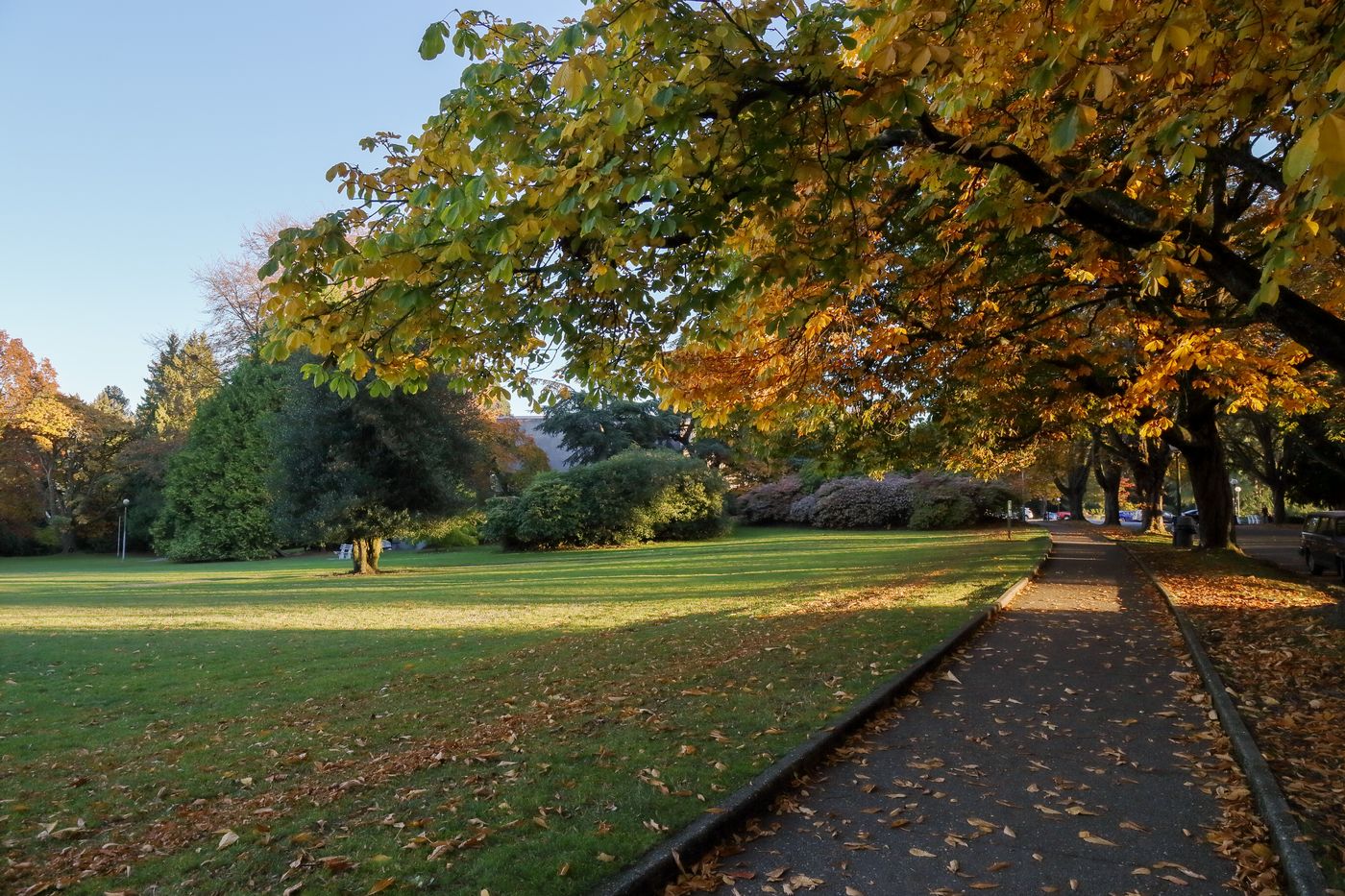 Volunteer Park fall colors Seattle