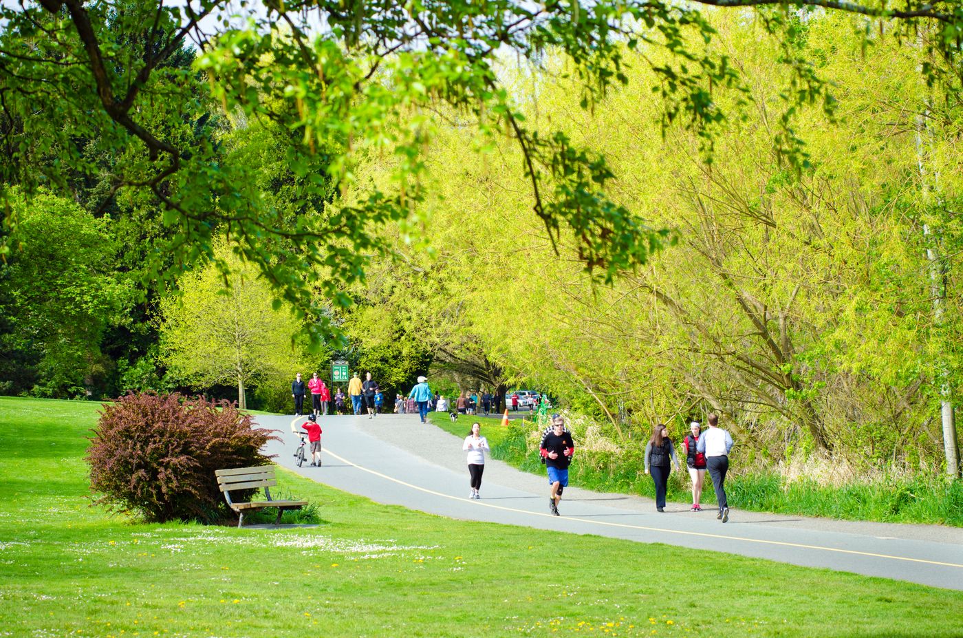 Green Lake Park pathway in Seattle
