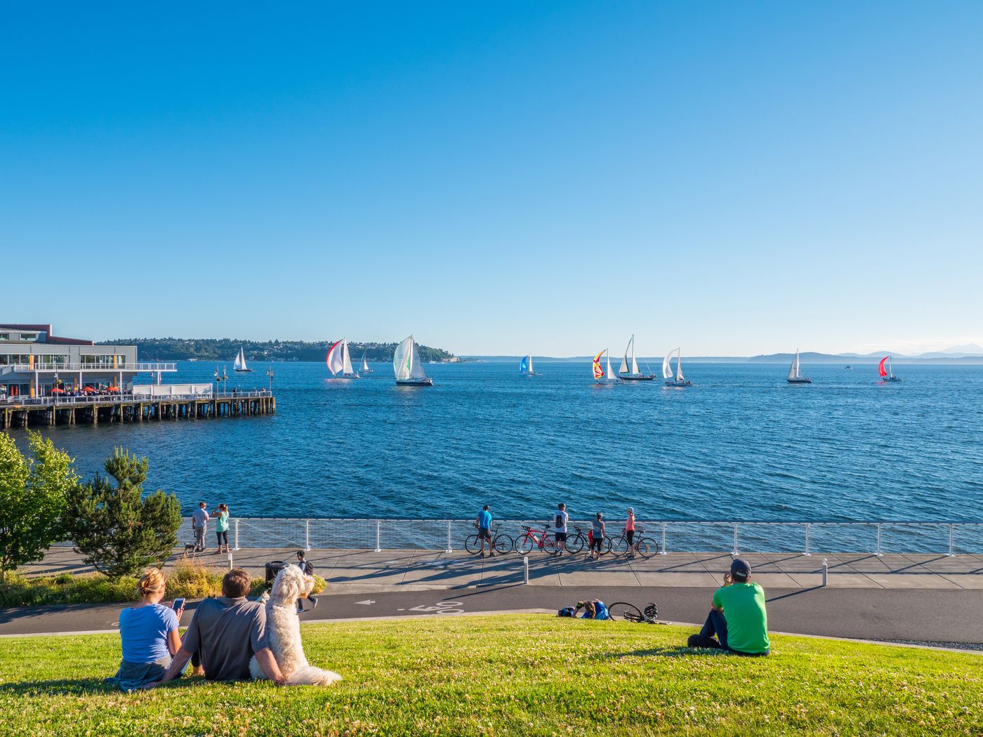 Which City Feels Like You? Seattle vs. Bellevue for Condo Buyers