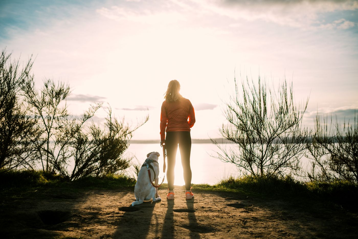 Woman running with dog in Seattle