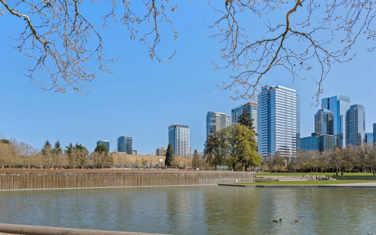 Mondrian Condos directly adjacent to Bellevue Downtown Park — one of the only residential buildings with park-edge frontage