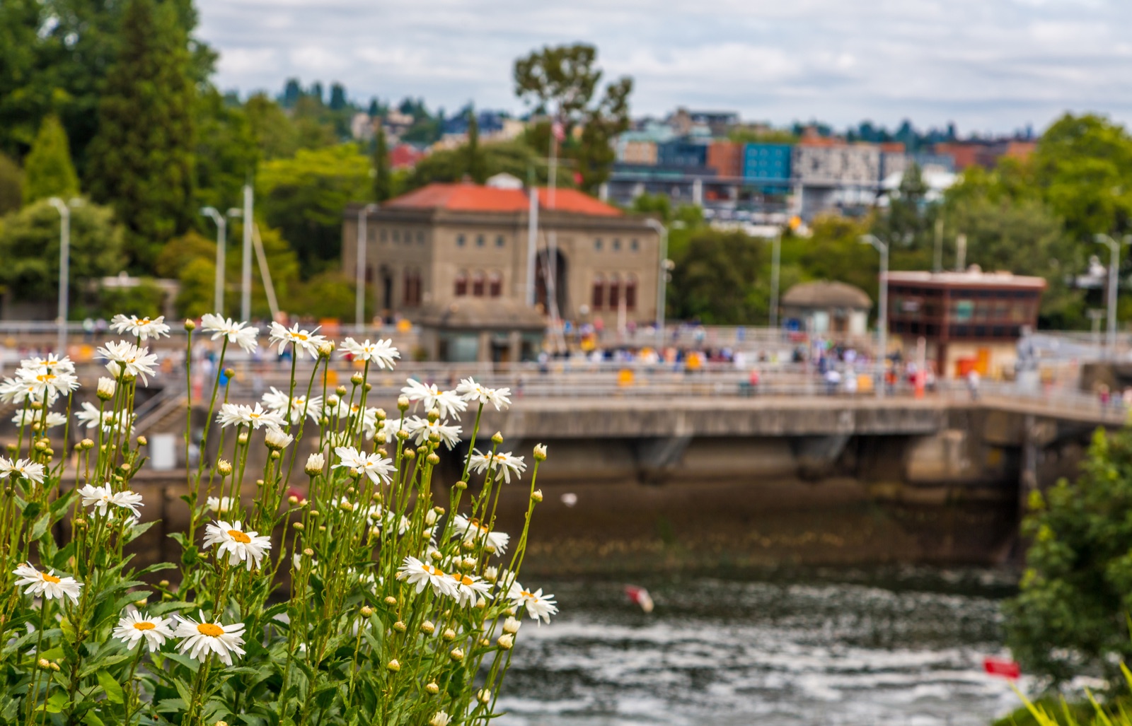 Ballard, Seattle