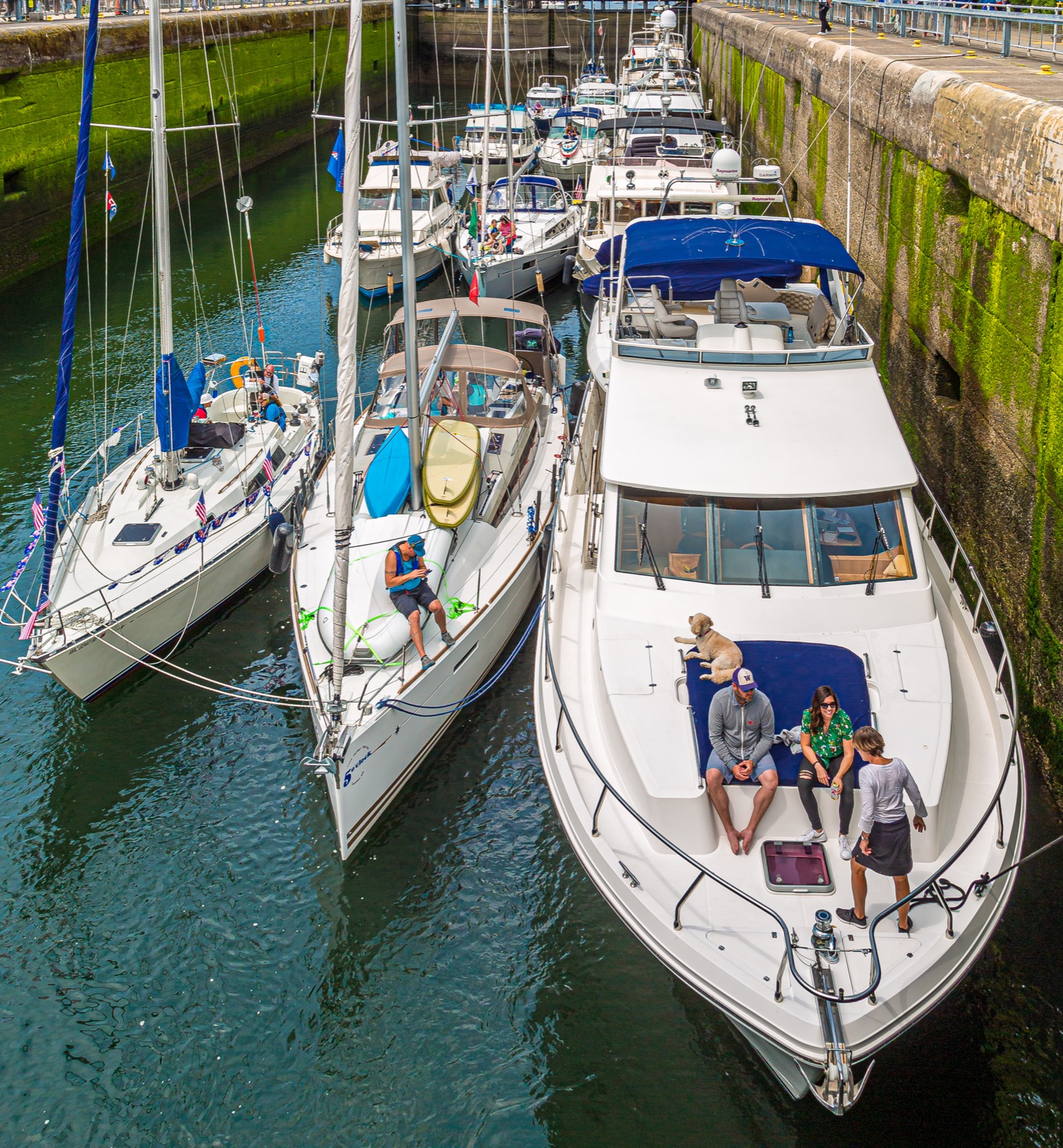 Things To Do in Ballard