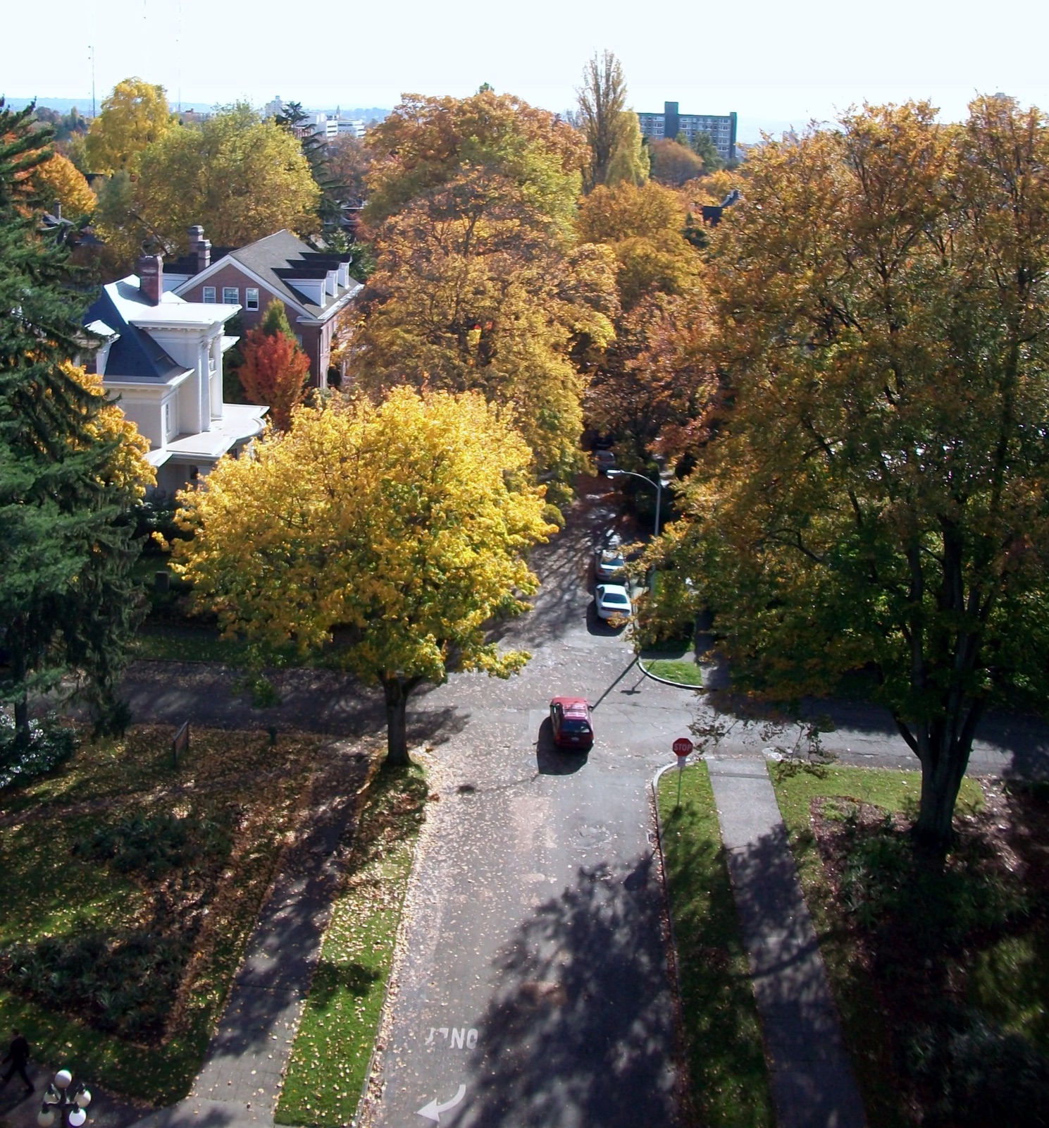 Outdoor Spaces in Capitol Hill