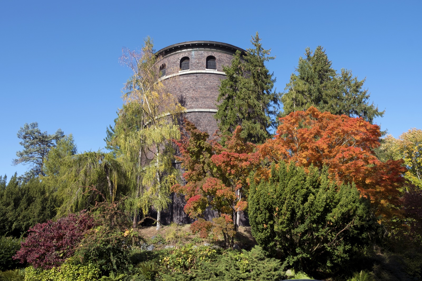 Things To Do in Capitol Hill