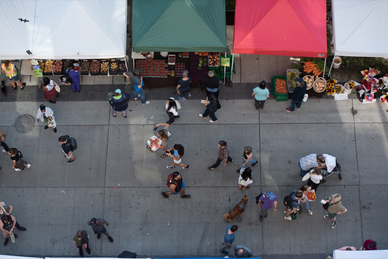 Things To Do in West Seattle
